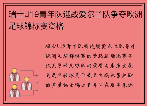 瑞士U19青年队迎战爱尔兰队争夺欧洲足球锦标赛资格
