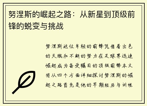 努涅斯的崛起之路：从新星到顶级前锋的蜕变与挑战