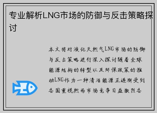 专业解析LNG市场的防御与反击策略探讨